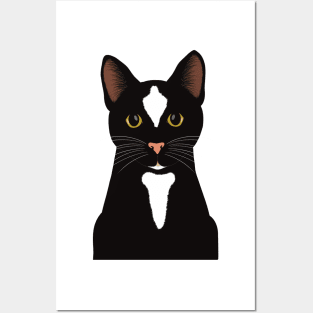 Hey! What are you doing? Cute curious Black cat watching you. Posters and Art